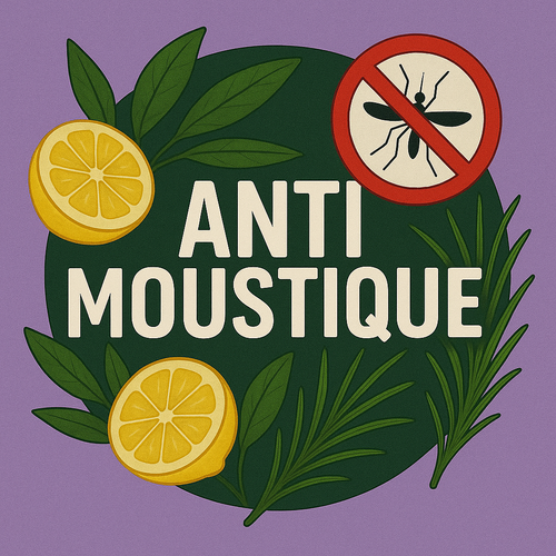 Anti moustique